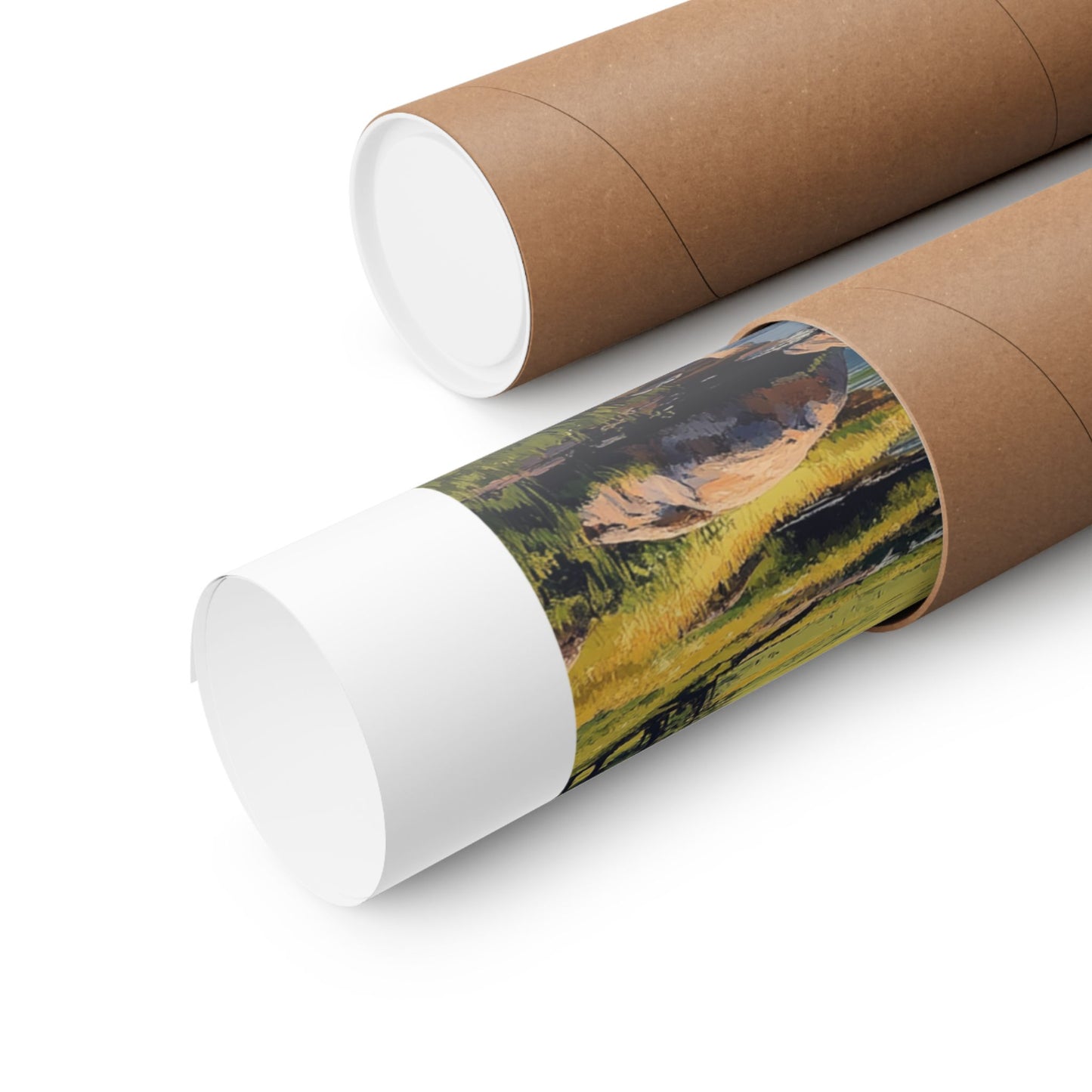 Rocky Mountains, Colorado - Matte Vertical Posters