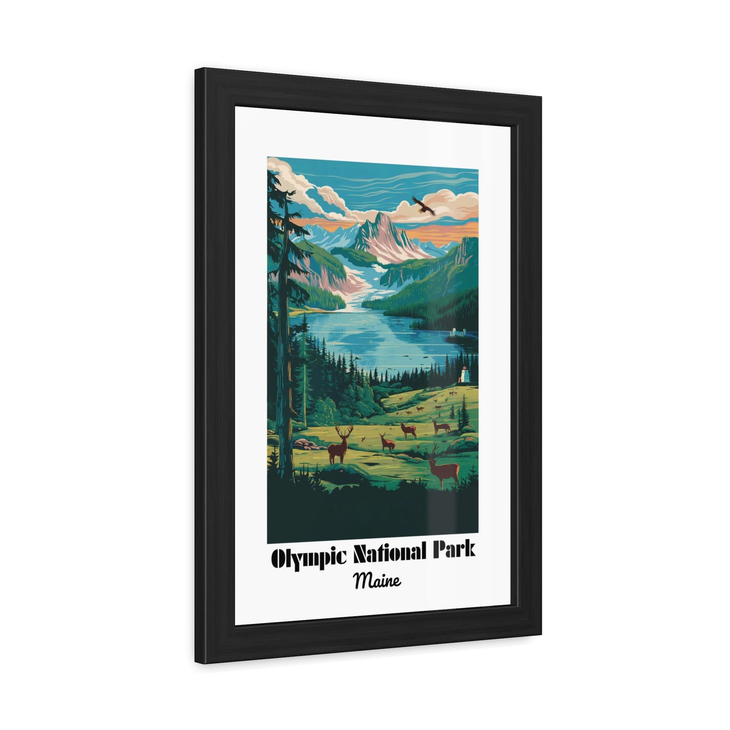 Olympic National Park, Maine - Framed Posters