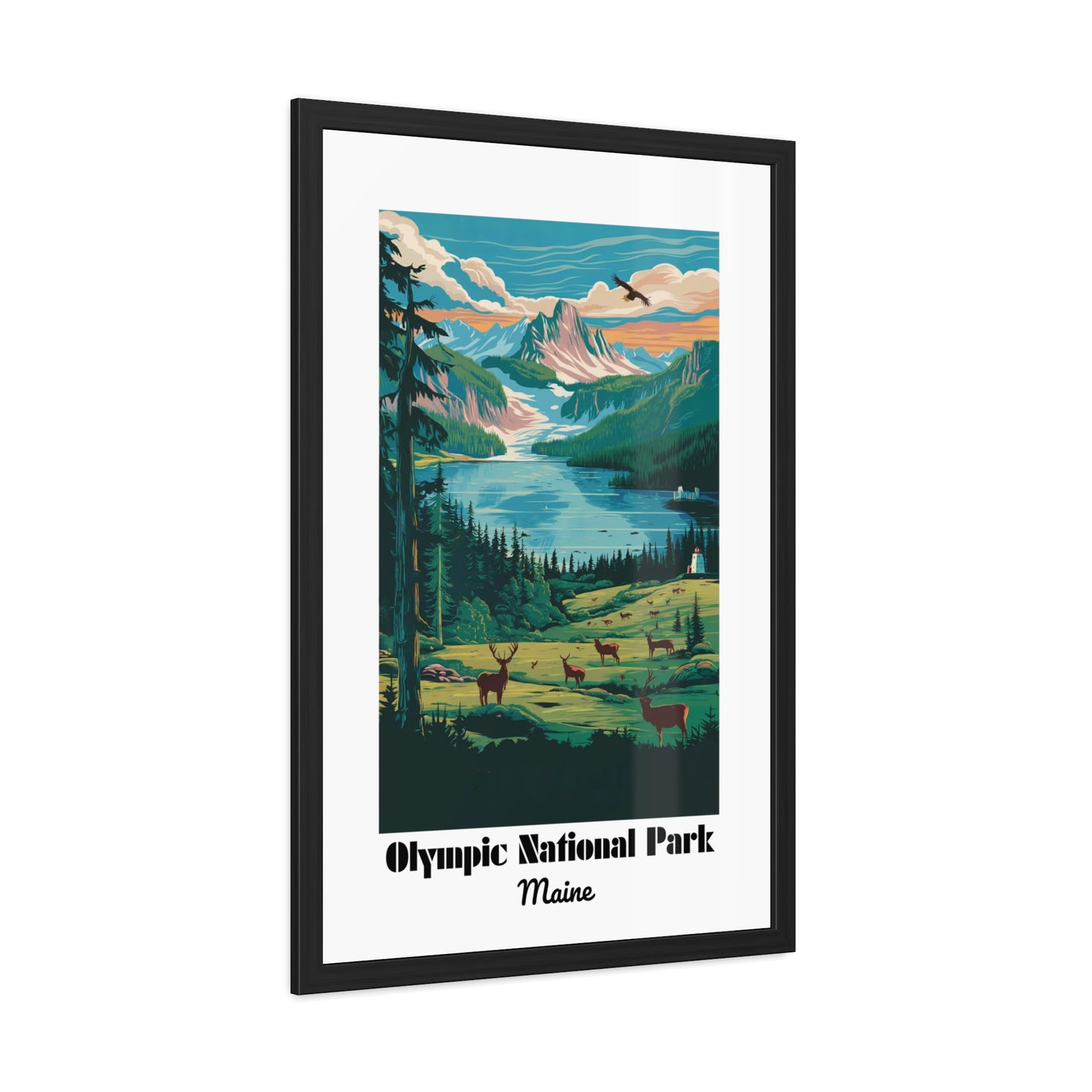 Olympic National Park, Maine - Framed Posters